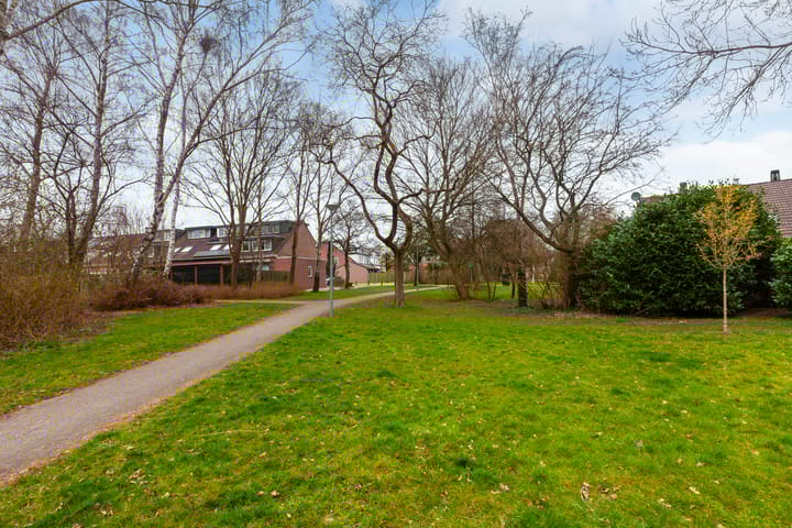 Foto 31 van Witte Klaver 32