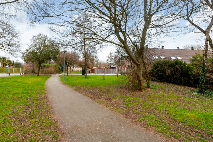 Foto 32 van Witte Klaver 32