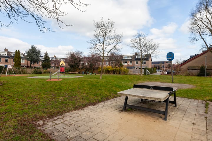 Foto 33 van Witte Klaver 32