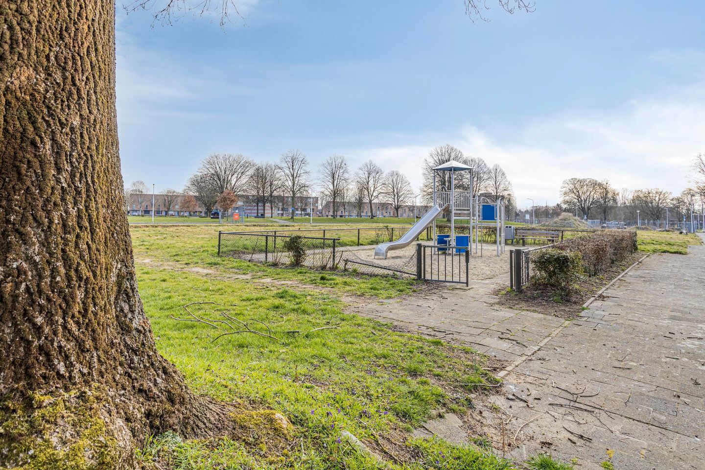 Foto 29 van Malpertuisstraat 6