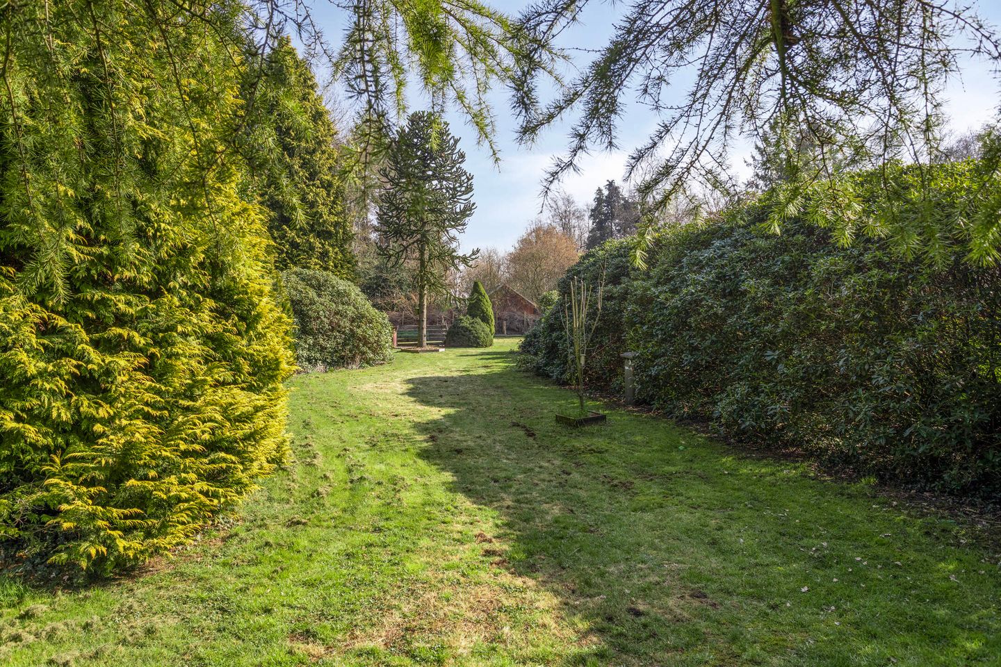 Foto 34 van Westerdiep OZ 103