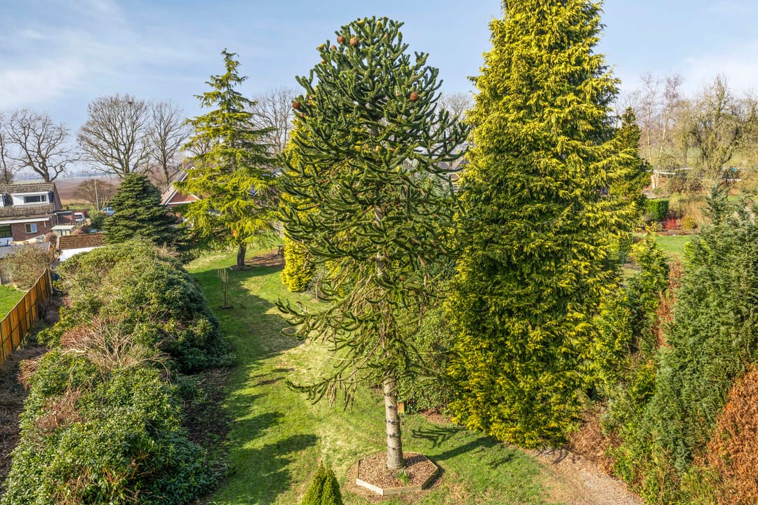 Foto 47 van Westerdiep OZ 103