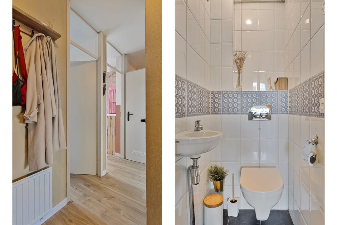 Foto 11 van Havikskruid 70