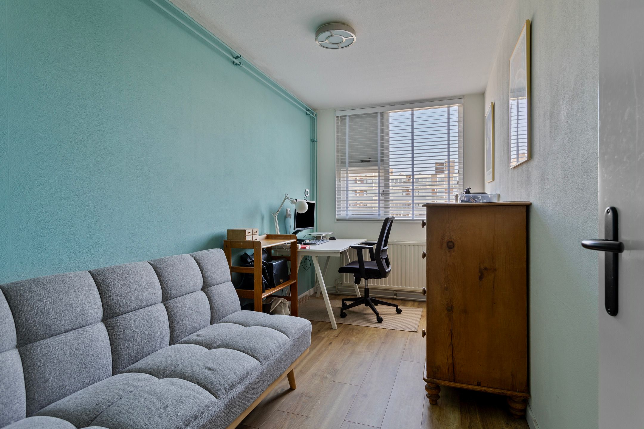 Foto 15 van Havikskruid 70