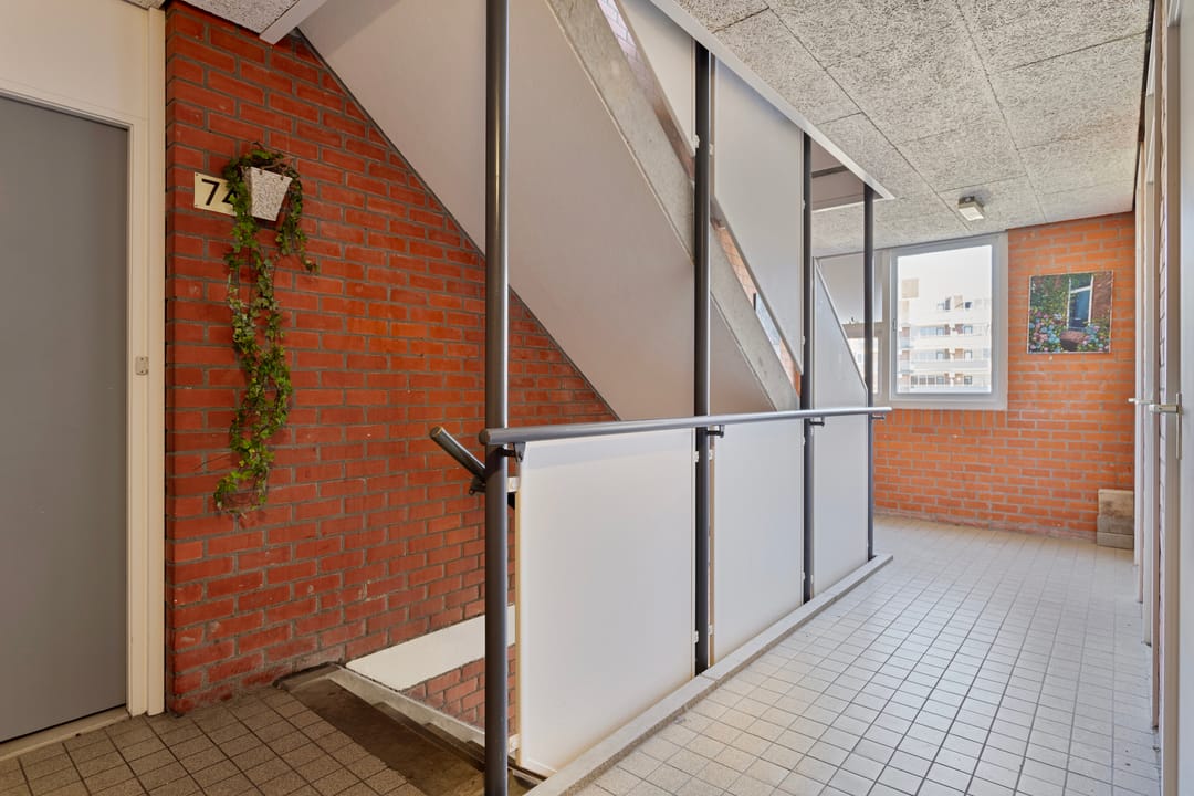 Foto 17 van Havikskruid 70