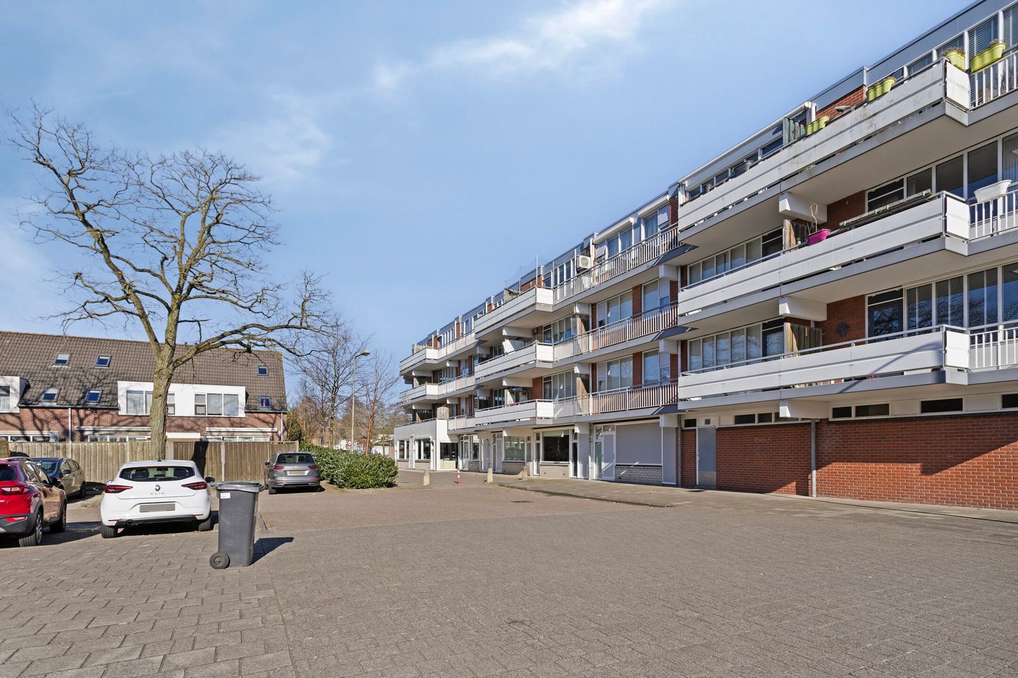 Foto 20 van Havikskruid 70