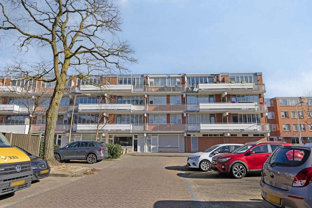 Foto 22 van Havikskruid 70