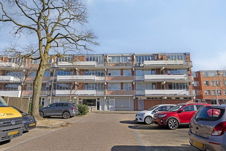 Foto 22 van Havikskruid 70