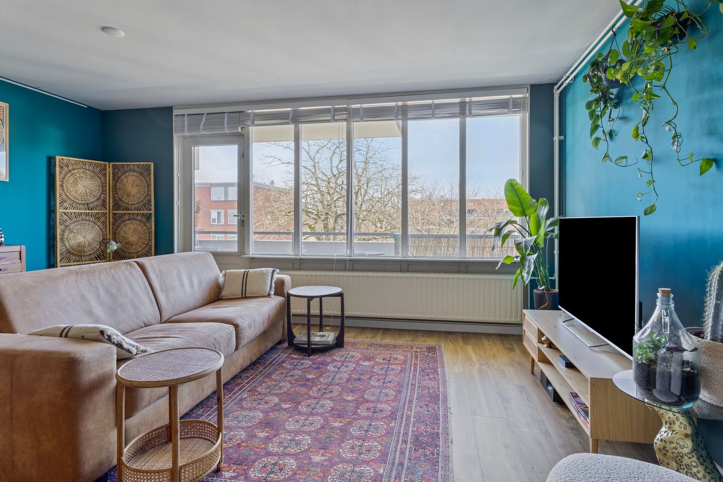 Foto 5 van Havikskruid 70