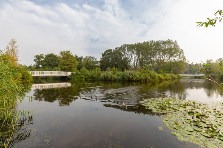 Foto 37 van J.H. Leopoldstraat 13-I