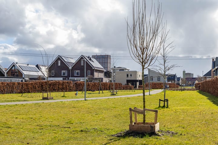 Foto 67 van Vlinderbalg 32