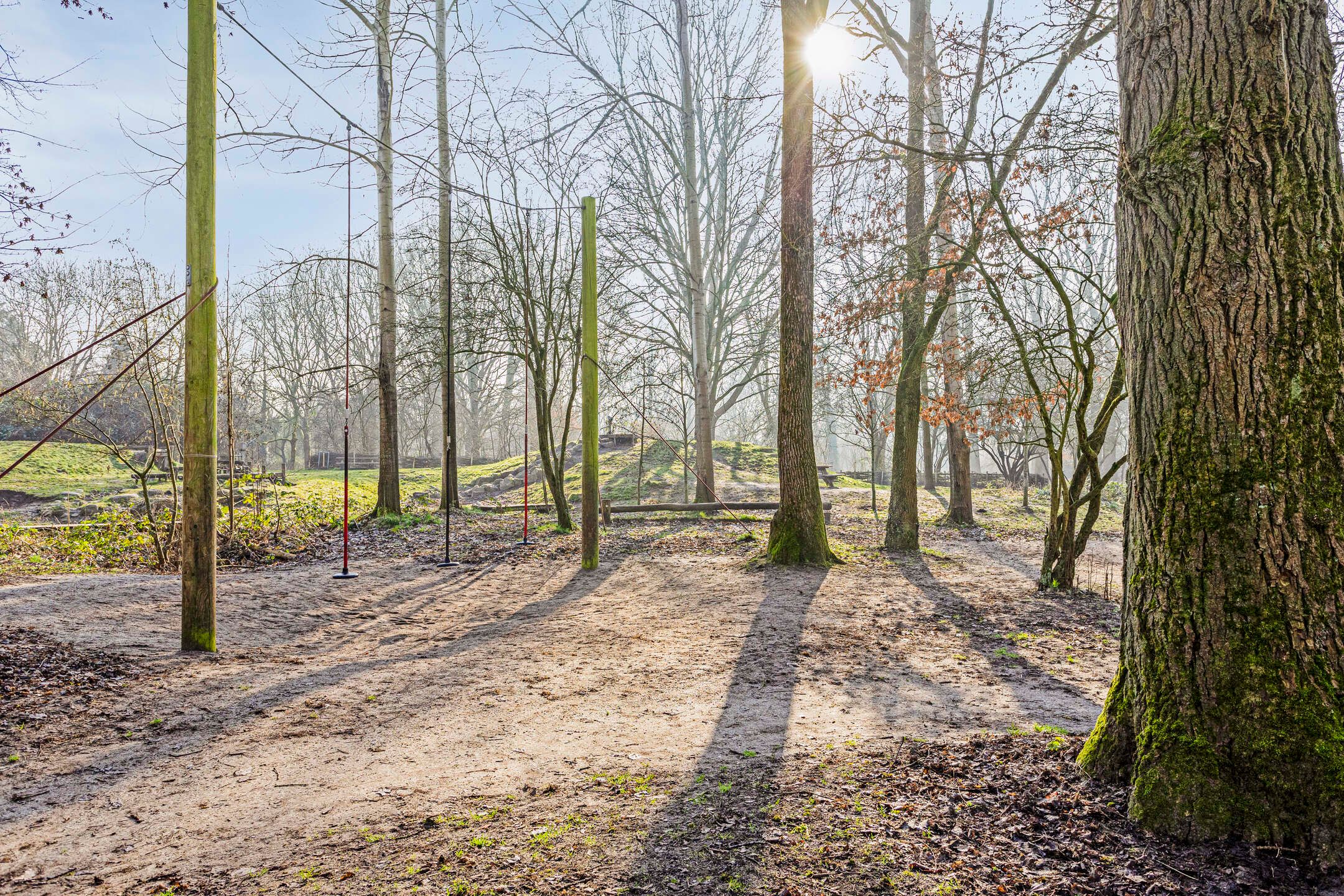 Foto 30 van Reijmerinkstraat 72