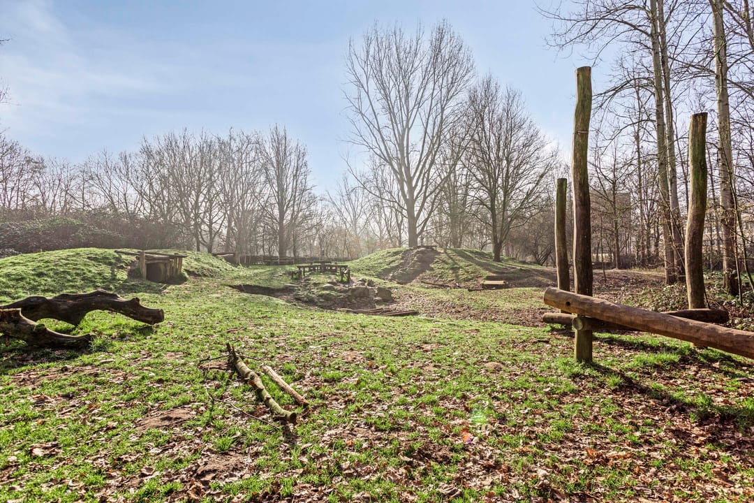 Foto 31 van Reijmerinkstraat 72