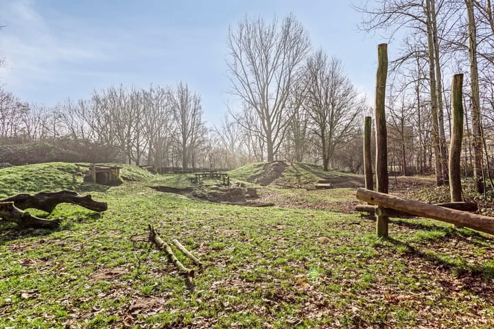 Foto 31 van Reijmerinkstraat 72