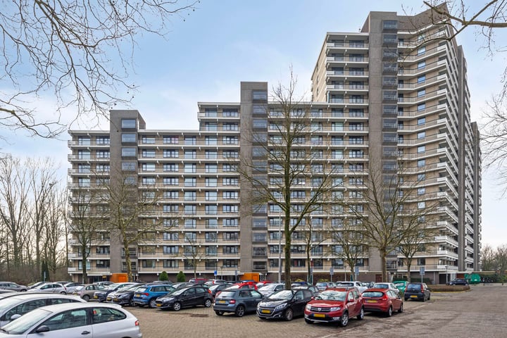 Groningensingel 861