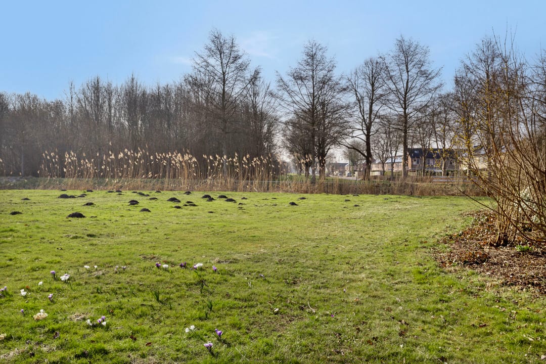 Photo 47 of Acacialaan 10