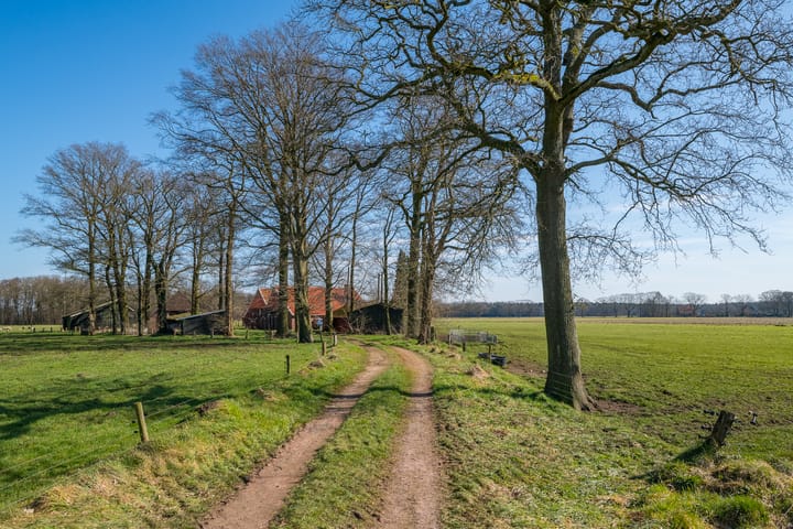 Foto 8 van Grote Heldersweg 8