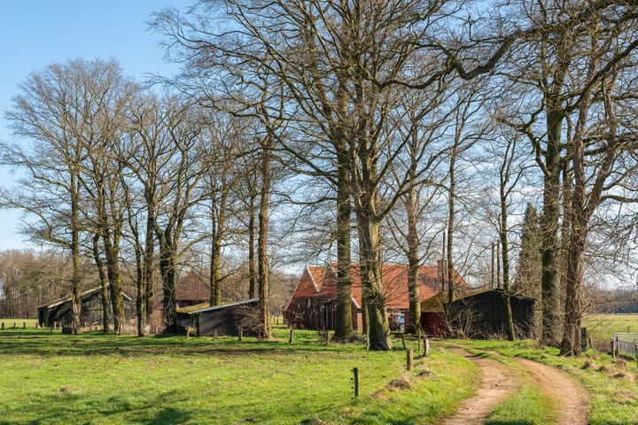 Foto 9 van Grote Heldersweg 8