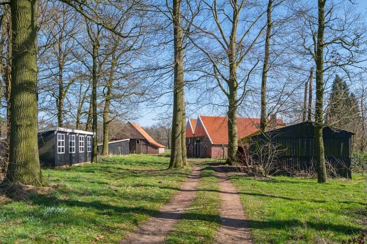 Foto 10 van Grote Heldersweg 8