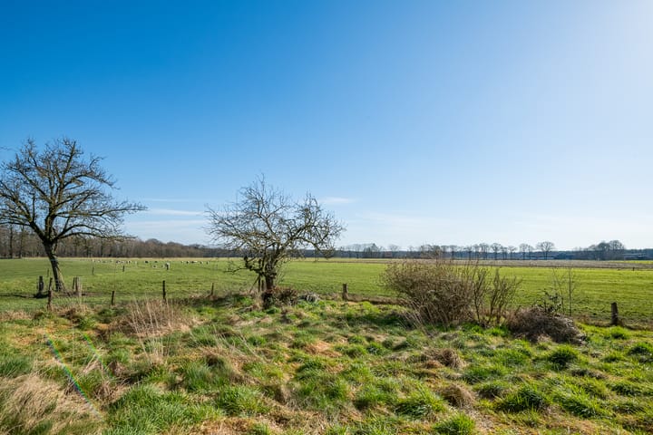 Foto 13 van Grote Heldersweg 8