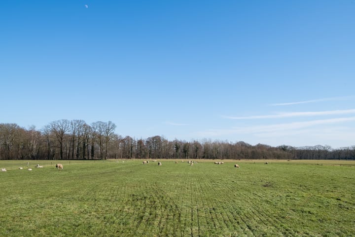 Foto 18 van Grote Heldersweg 8