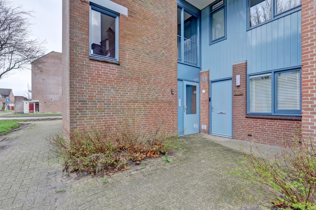 Foto 2 van Smaragddrift 27