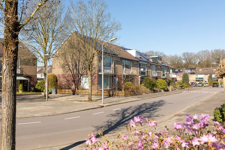 Foto 25 van Comeniushof 17