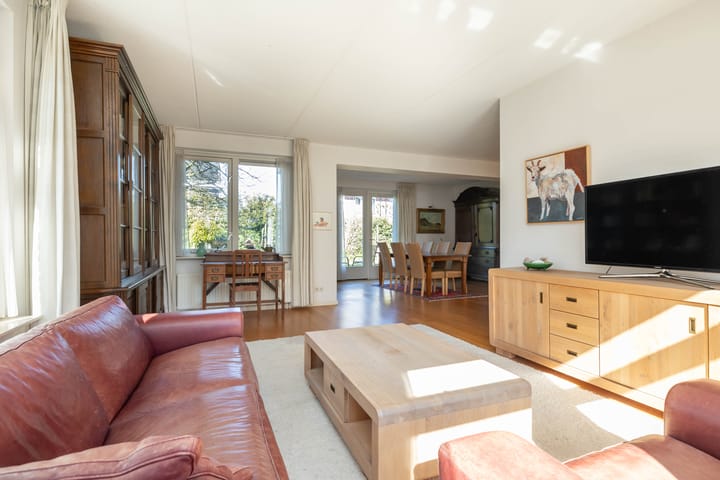 Foto 3 van Meerval 24