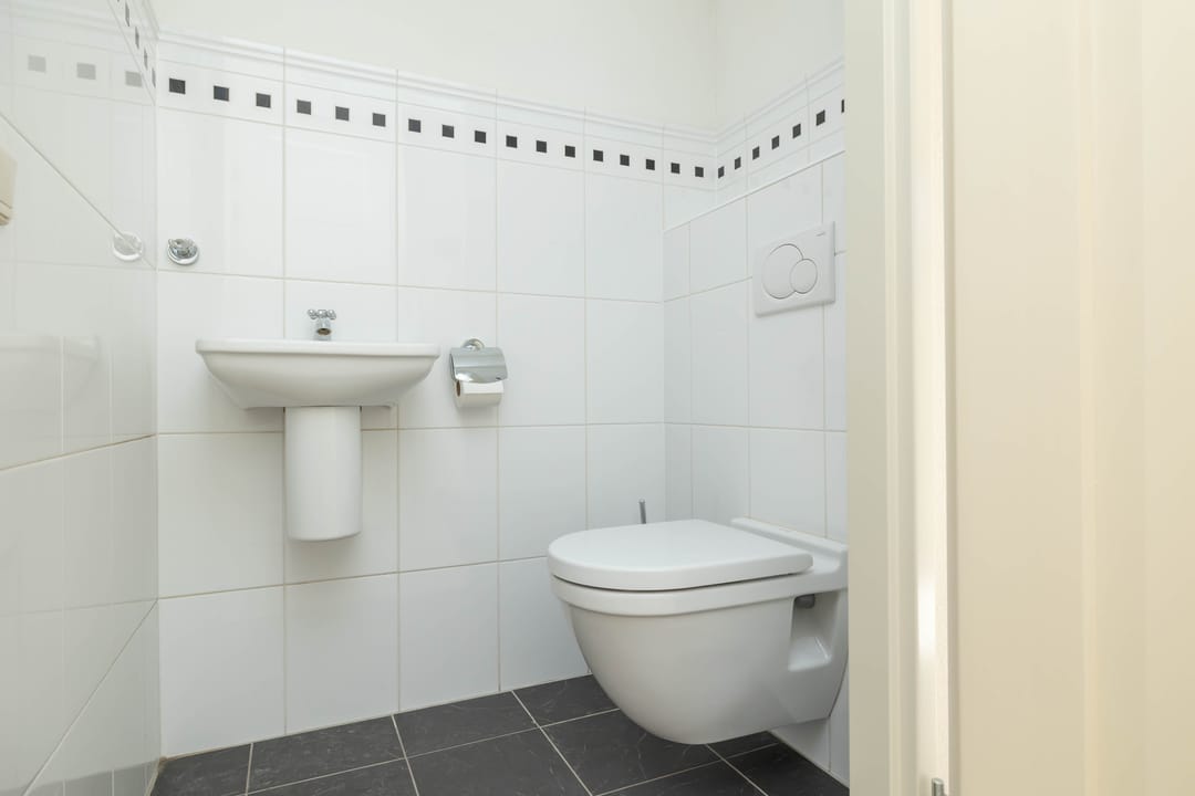 Photo 28 of Meerval 24