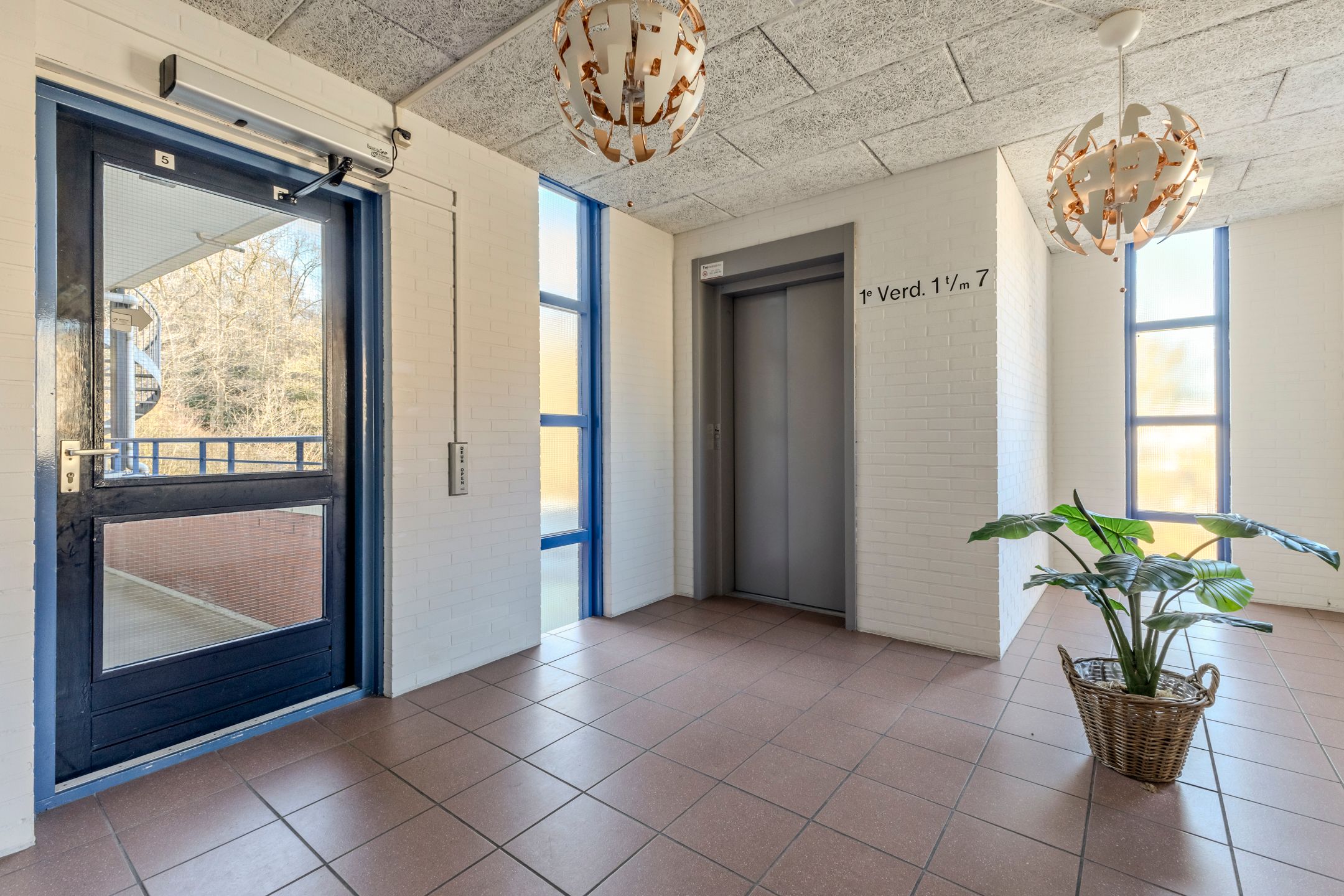 Foto 6 van Roode Leeuw 5