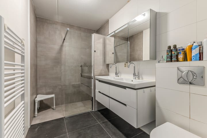 Foto 24 van Roode Leeuw 5