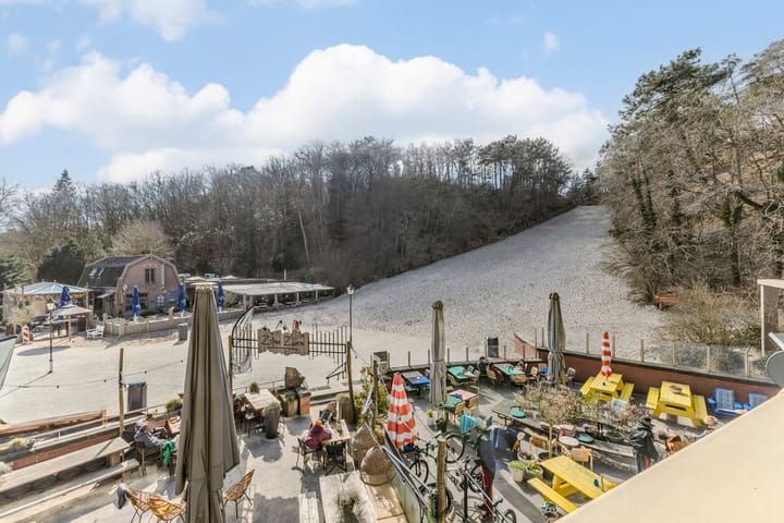 Foto 30 van Roode Leeuw 5