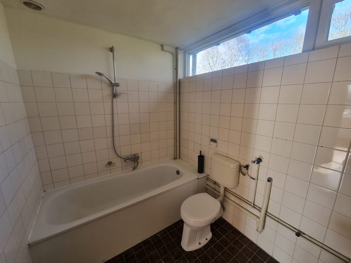 Foto 12 van Rijnstraat 8