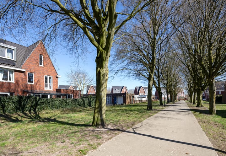 Foto 41 van Pianostraat 32