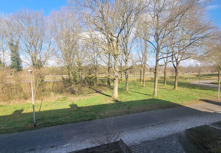 Foto 21 van Rijnstraat 8