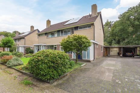 undefined main image