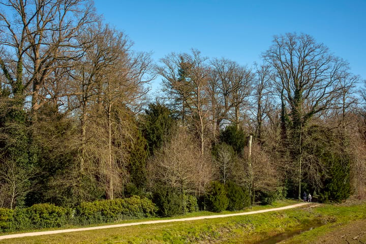 Foto 36 van Stadshagen 101