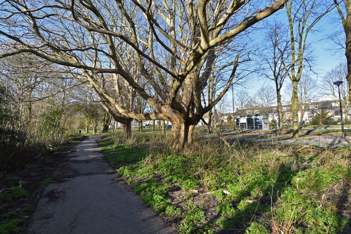 Foto 39 van Prof. Meijerslaan 126