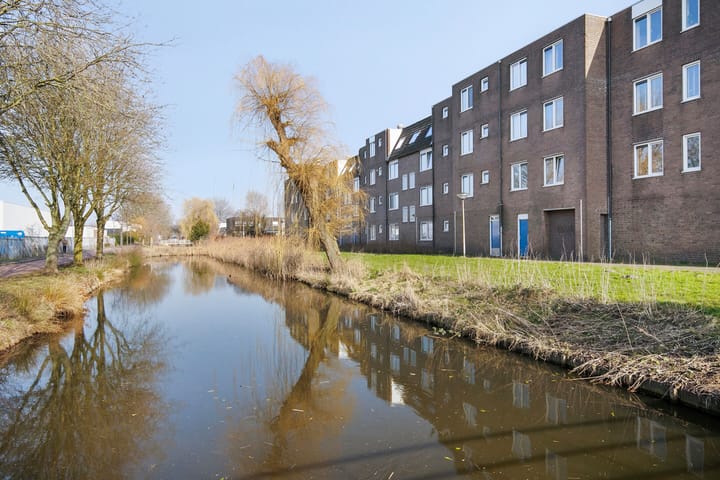 Kopspoor 95