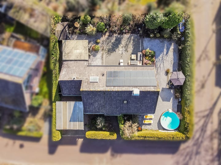 Photo 62 of Punter 26 2