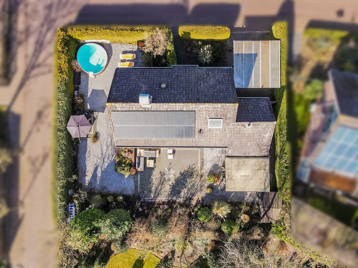 Photo 63 of Punter 26 2