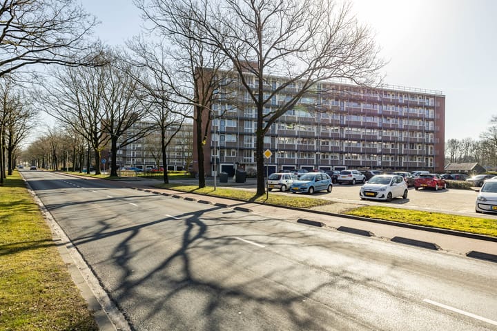 Foto 6 van Maria in Campislaan 109