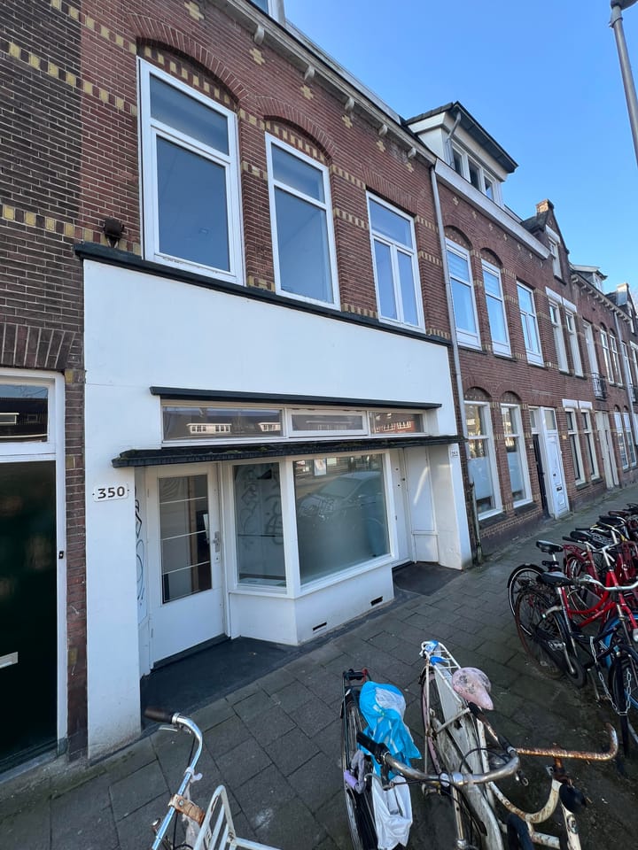 Photo 3 of Vleutenseweg 350