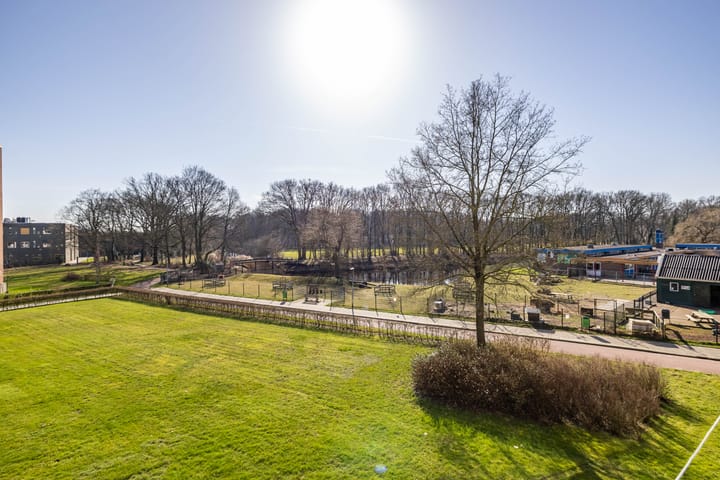 Foto 26 van Maria in Campislaan 109