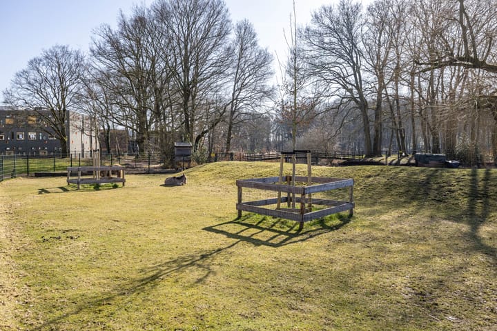 Foto 38 van Maria in Campislaan 109