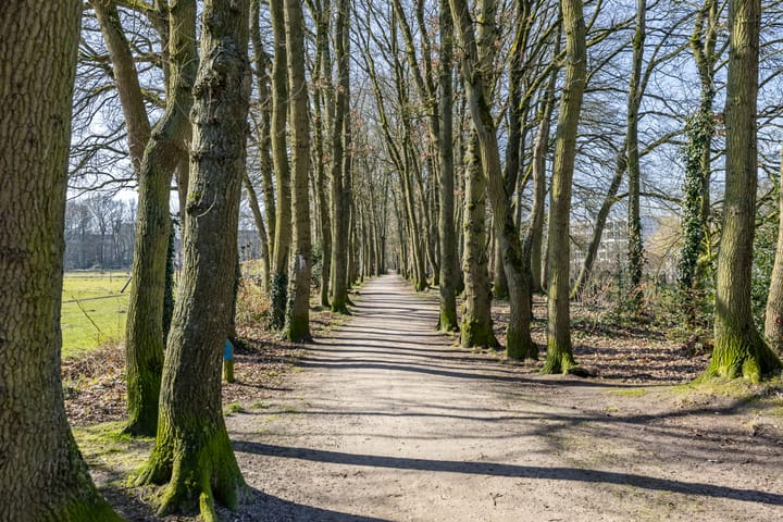 Foto 41 van Maria in Campislaan 109