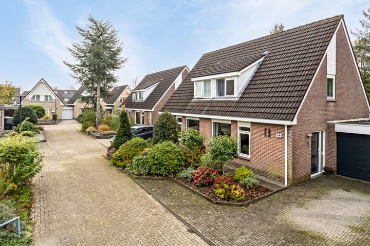 Foto 48 van Stal 243