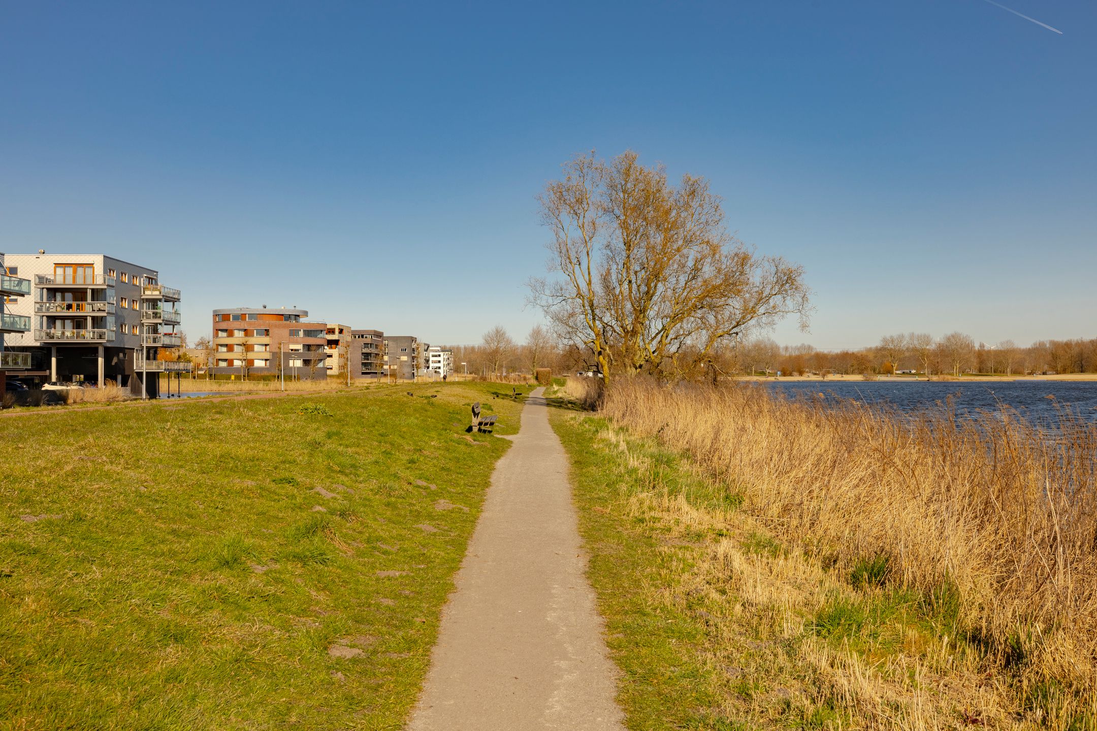 Foto 36 van H. Reptonstraat 34