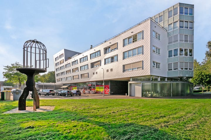 Foto 1 van De Spinne 77