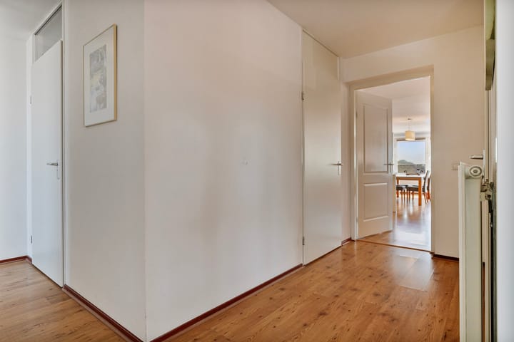 Foto 4 van De Spinne 77